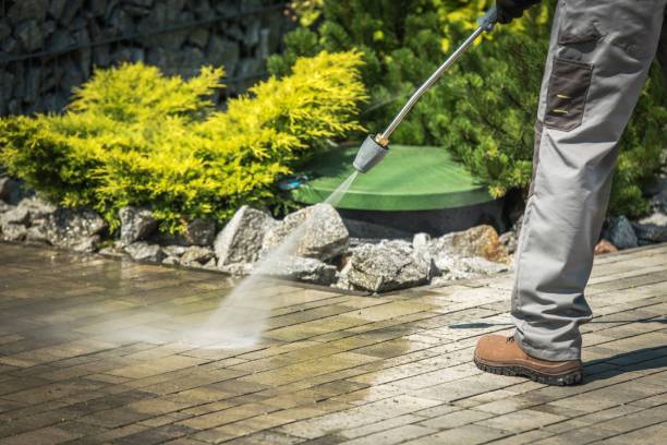 Best Sidewalk and Walkway Cleaning  in Elwood, NY